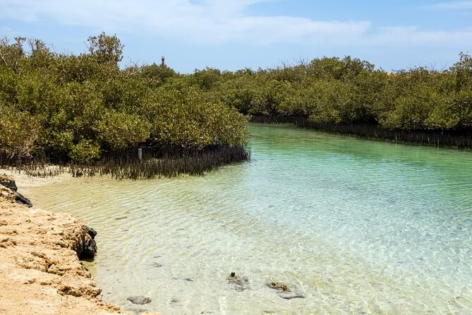 Ras Mohammed national park by bus + Snorkeling - Gear, Photos, and Small Extras: What You Pay For vs. What You Don’t