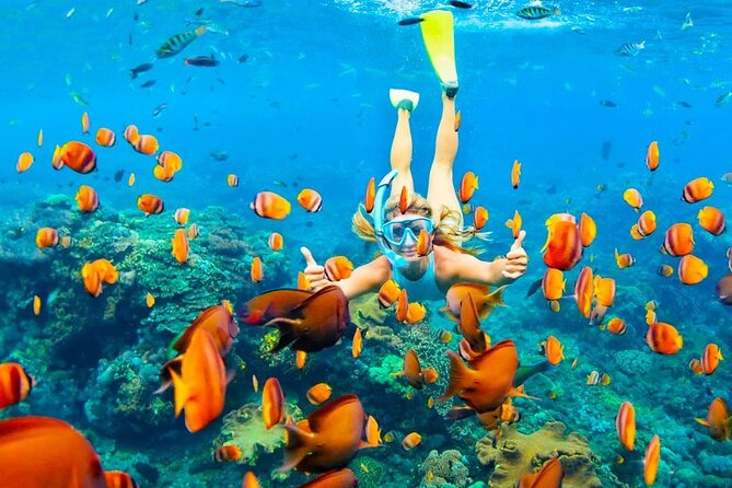 Ras Muhammed & White Island Snorkeling Sea Trip - Sharm El Sheikh - White Island: The Sandbank Stop That Feels Like a Photo Filter