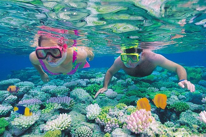 Red Sea Snorkeling from Hurghada - The boat cruise: where the day starts feeling like the Red Sea
