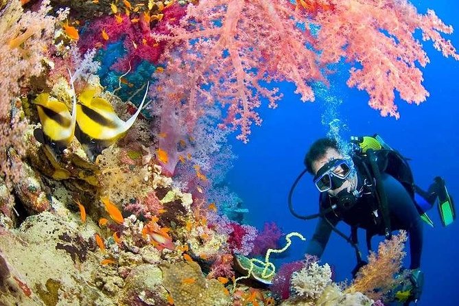 Red Sea Snorkeling from Hurghada - Three reef stops: how to make the most of each anchor location