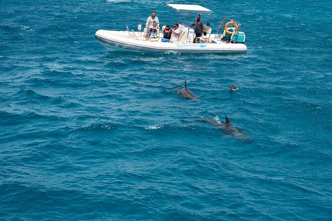 Red Sea Wonders Dolphin House Snorkeling Cruise & Lunch_ Hurghada - Banana boat and sofa boat: the water fun side of Dolphin House