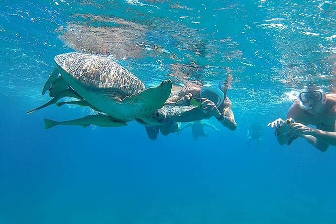 Relax and Snorkel at Orange Island Sea Trip In Hurghada - Morning Starts Smooth: Pickup, Marina, and a Half-Hour Yacht Sail