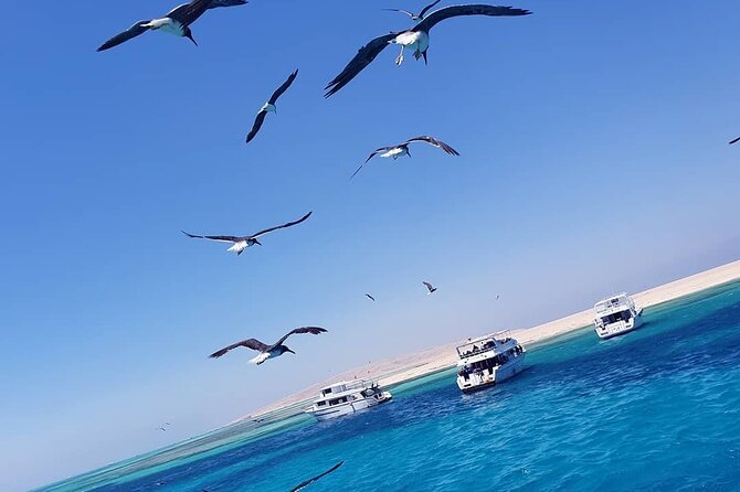 Relax and Snorkel at Orange Island Sea Trip In Hurghada - Should You Book This Orange Island Sea Trip?