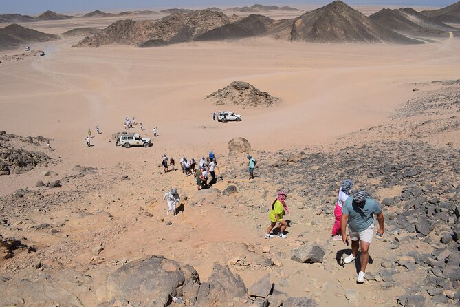 Safari ATV, Buggy, Camel, Bedouin Dinner and Hurghada Show - Jeep ride to the Bedouin village: where the culture becomes real