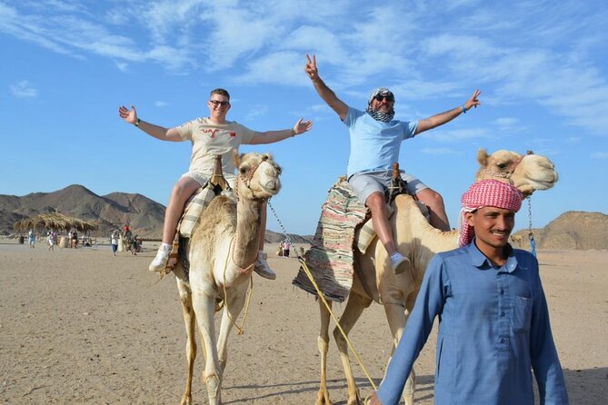 Safari ATV, Buggy, Camel, Bedouin Dinner and Hurghada Show - Camel ride: short but scenic and very doable