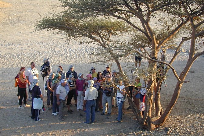 Safari ATV Quad ride Camel ride & Dinner With Show - Hurghada - Pickup, Timing, and How the Day Usually Runs