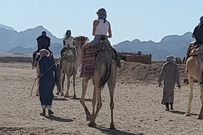 Safari Dessert tour in Hurghada - Price and timing: what $24.88 really buys