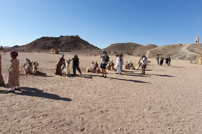 Safari Dessert tour in Hurghada - Food and the evening show: belly dancers, Tenora, fire, and stars