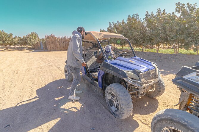 Safari Full Day ATV Quad, Buggy, Jeep, Camel in Egypt - Hurghada - Price and time: what you’re really paying for at about $18
