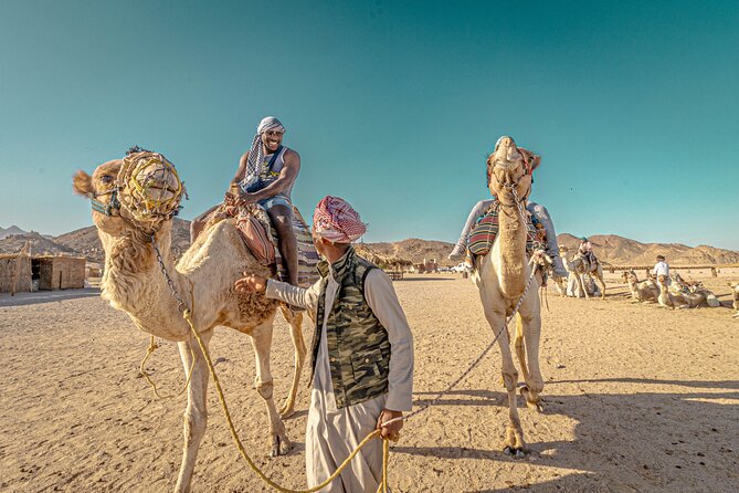 Safari Full Day ATV Quad, Buggy, Jeep, Camel in Egypt - Hurghada - ATV quad and buggy dune riding: the adrenaline part of the day