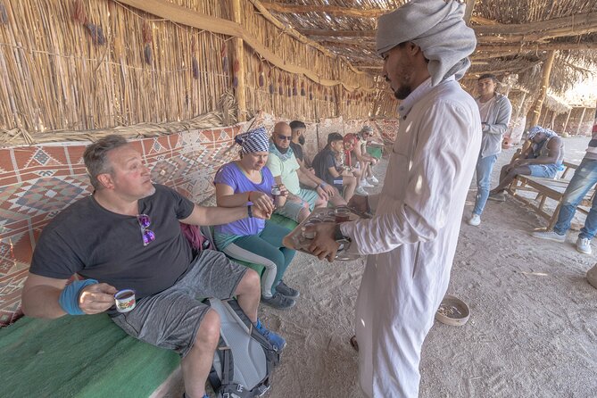 Safari Full Day ATV Quad, Buggy, Jeep, Camel in Egypt - Hurghada - Camel ride timing: the quieter mood swing near evening