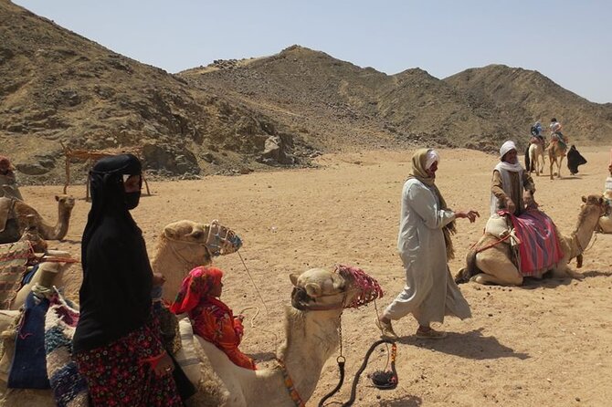 Safari quad, jeep, camel ride, show and dinner Hurghada - Quads vs buggies: pick the ride that matches your expectations