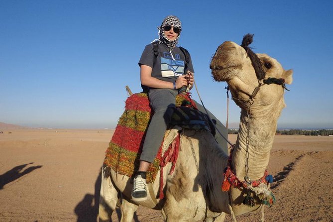 Safari Three Hours by ATV Quad Bike & Camel Ride With Transfer - Hurghada - Price, Value, and the Cash Notes You’ll Need