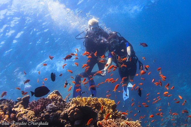 Safe Try dive-Personal instructor, 1:1 experience, Top boat - Getting Your Gear Sorted Before You Go Under
