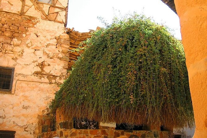 Saint Catherine's Monastery And Dahab Day Tour - Sharm El Sheikh - Stop 1: Sharm El Sheikh Pickup and Transfer Rhythm