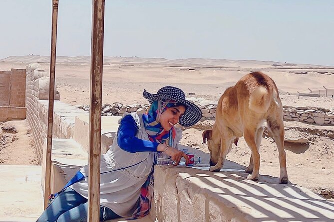 Saqqara, Dahshur - 10%to stray dogs and cats - The stray cats and dogs angle: real support, small moments that matter