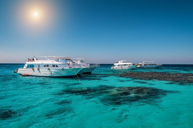 Sataya Dolphin House Boat Trip in Marsa Alam - Why Sataya Dolphin House is special for spinner-dolphin watching