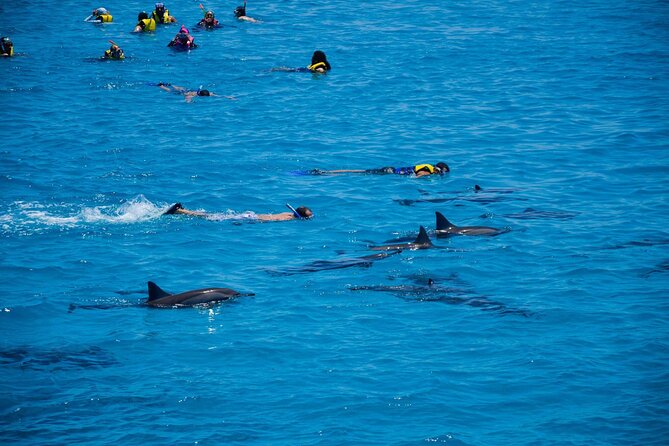 Sataya Dolphin House Boat Trip in Marsa Alam - Group size, boat day pace, and what that means for you