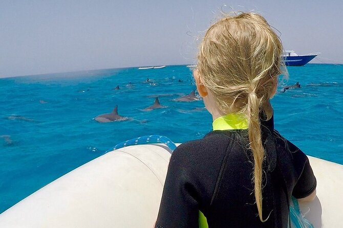 Sataya Dolphin House Snorkel Trip - Marsa Alam - Lunch onboard: what’s included and why it matters