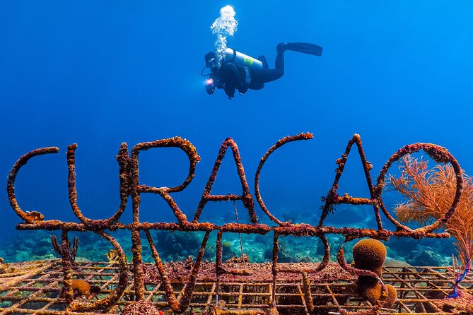 Scuba Beginner Diving and Snorkeling with Lunch From Hurghada - From 8:30 am departure: how the Hurghada Port start shapes the day