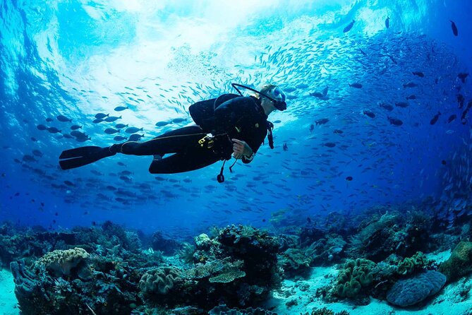 Scuba Beginner Diving and Snorkeling with Lunch From Hurghada - Snorkeling vs. scuba: choosing the right sea experience