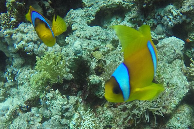 Scuba Diving 2 Dives from the Boat - From pickup to open water: how the day really runs
