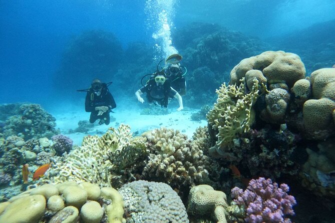 Scuba Diving in Hurghada _ 2 Stops Dive With Equipments & Lunch - Key things I’d plan around before you go