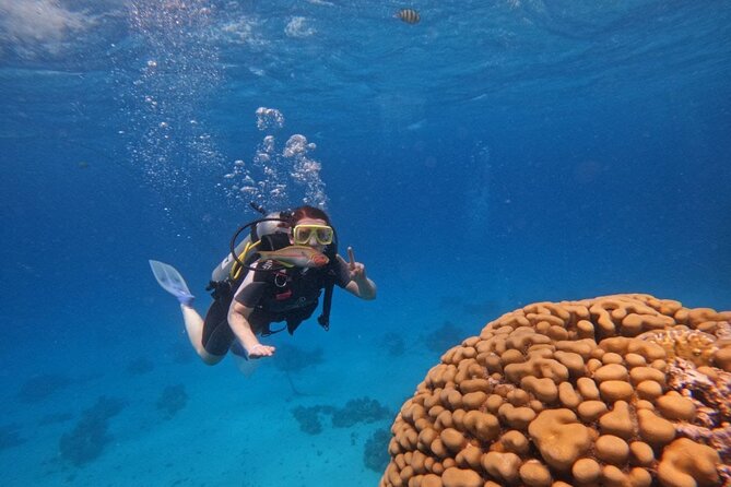 Scuba Diving in Hurghada _ 2 Stops Dive With Equipments & Lunch - Scuba gear, pickup, and the 8:30AM start in Hurghada