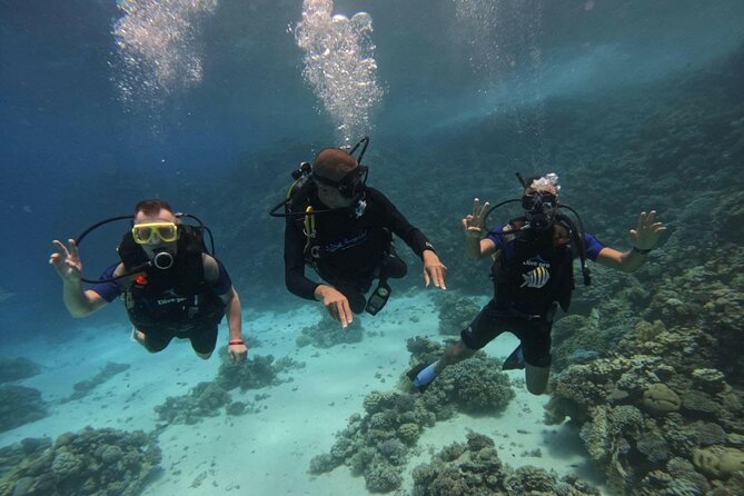 Scuba Diving in Hurghada _ 2 Stops Dive With Equipments & Lunch - Boat lunch break: what to do between the two sites