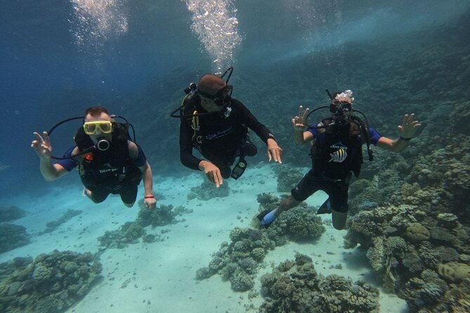 Scuba Diving in Hurghada _ 2 Stops Dive With Equipments & Lunch - Second underwater stop: fish, coral, and how to choose your focus
