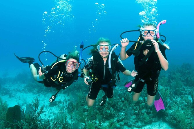 Scuba Diving in Hurghada _ 2 Stops Dive With Equipments & Lunch - First underwater stop: your confidence-building session
