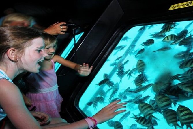 Sea Scope Cruise with Snorkeling Adventure in Hurghada - What You Actually See: Glass-Walled Views and Fish-Eye Marine Life