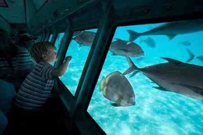 Sea Scope Cruise with Snorkeling Adventure in Hurghada - The 2-Hour Flow: Marina Cruise, Reef Area, and Snorkeling Time