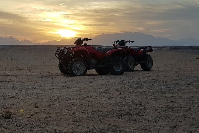 Sea Side Quad Adventure in Makadi Bay - From Bedouin Tea to ATV Controls: How the Tour Starts