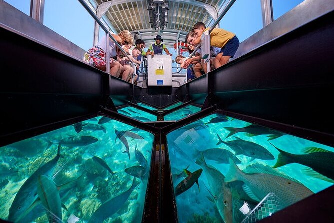 Semi Submarine Hurghada - Hurghada Marina Transfer: Where Time Gets Spent (and Why It Matters)