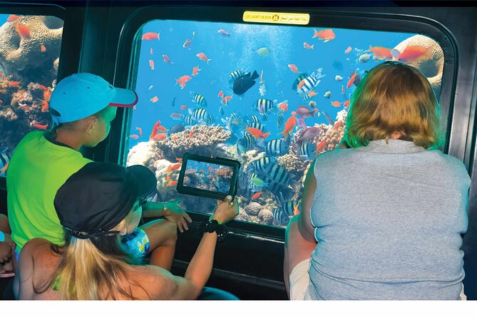 Semi-Submarine, Snorkeling Sea Trip With Transfer – Hurghada - How the Semi-Submarine + Snorkeling Combo Works in Real Life