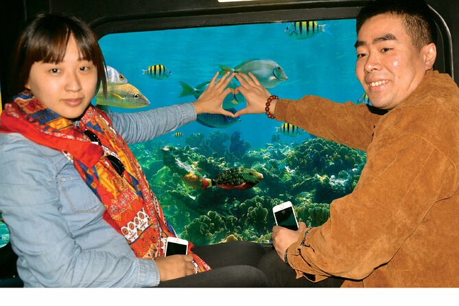 Semi-Submarine, Snorkeling Sea Trip With Transfer – Hurghada - Snorkeling Setup: Equipment, Guide, and the 30-Minute Window