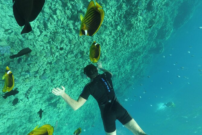 Semi-Submarine, Snorkeling Sea Trip With Transfer – Hurghada - Group Size, Boarding Style, and What to Expect at the Marina