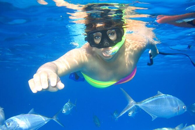 Semi-Submarine, Snorkeling Sea Trip With Transfer – Hurghada - Under the Glass: What You Actually See From the Semi-Submarine