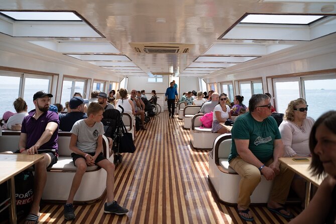 Semi Submarine Tour 2 Hours With Transfer - Sharm El Sheikh - Semi-Submarine Views: What the Underwater Windows Really Do