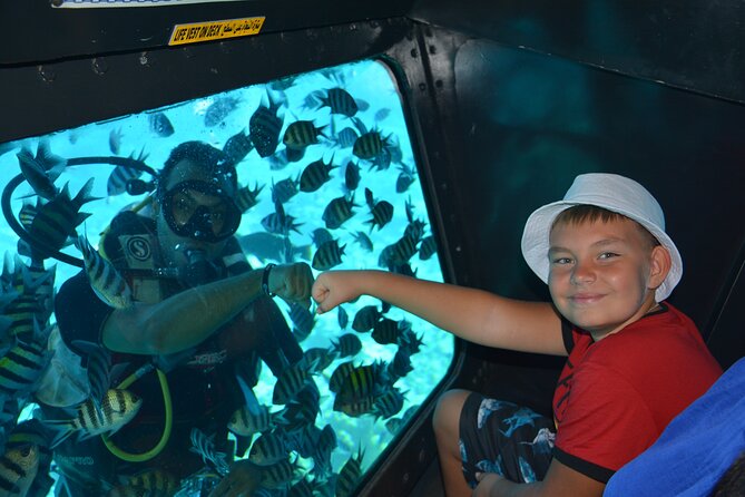 Semi Submarine Tour 2 Hours With Transfer - Sharm El Sheikh - Comfort, Crew, and the Human Stuff That Changes Everything