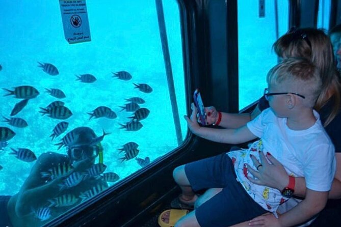 Semi Submarine Trip 2 Hours With Transfer from Sharm - Two Hours on the Sea Scope: What the Timing Feels Like