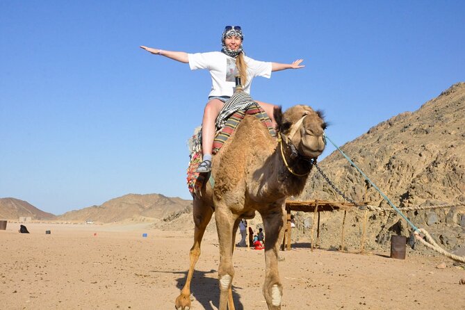 Sharm El-Sheikh ATV Quad Safari & Camel ride with Hotel transfer - Bedouin Tent Visit With Tea: What You’re Getting Beyond the Ride