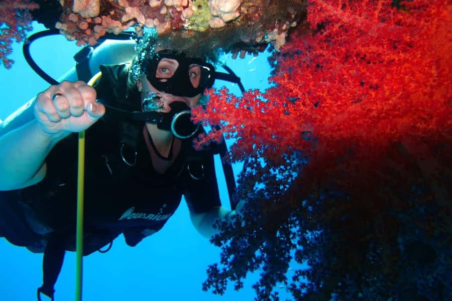 Sharm El Sheikh: Day sail to White island and Ras Mohamed - What to pack and how to set yourself up