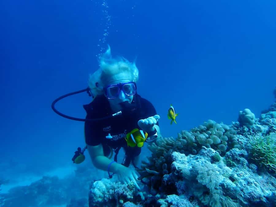 Sharm El Sheikh: Day sail to White island and Ras Mohamed - Ras Mohamed and White Island: a simple day that hits the Red Sea highlights