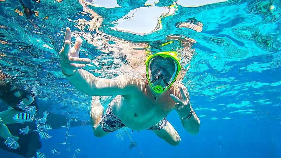 Sharm El Sheikh: Day sail to White island and Ras Mohamed - Timing and transfers: how the day fits your Sharm schedule