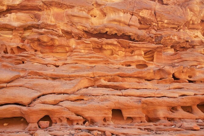 Sharm El Sheikh Day tour to Blue Hole and Dahab Canyon with Lunch - Price and extras: getting to the real total