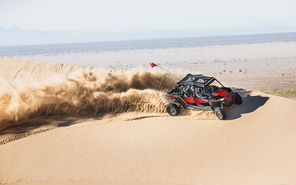 Sharm El-Sheikh: Desert Buggy Safari Adventure - Buggy Choices for Couples and Families (Including Seatbelt Comfort)