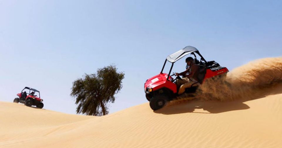 Sharm El-Sheikh: Desert Buggy Safari Adventure - Who This Sharm El-Sheikh Buggy Safari Suits Best