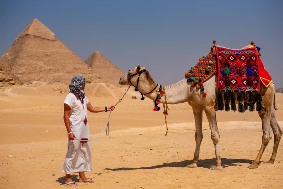 Sharm El-Sheikh: Full-Day Tour of Cairo and Pyramids by Bus - The Egyptologist guide: what you learn changes your photos